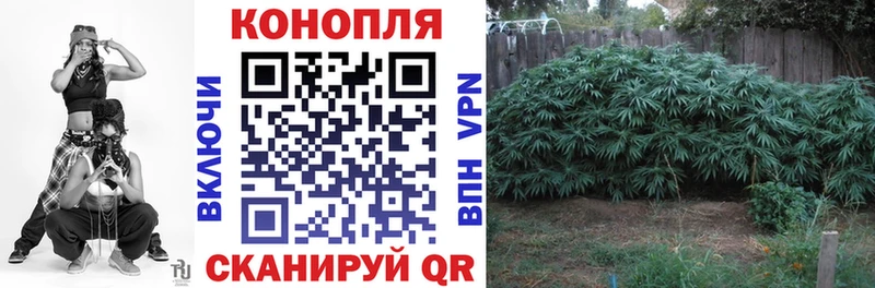 ссылка на мегу зеркало  Михайловка  Бошки Шишки SATIVA & INDICA  сколько стоит 